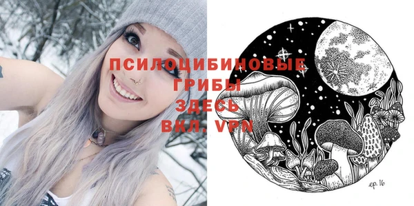 альфа пвп Каменногорск