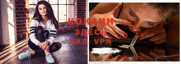 mdpv Каменск-Шахтинский